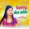 About Sorry Bola Jayega Song